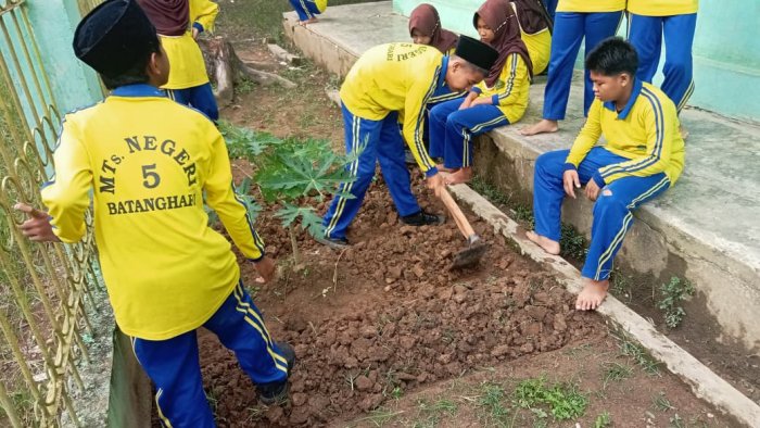 Siswa Kelas VIIIB MTsN 5 Batang Hari Buat Kebun Belakang Kelas, Wujudkan Inovasi Pemanfaatan Lahan Kosong