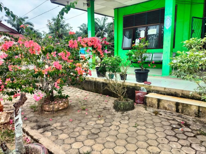 Taman Bunga Percantik dan Asrikan MTsN 5 Batang Hari Taman Bunga Percantik dan Asrikan MTsN 5 Batang Hari