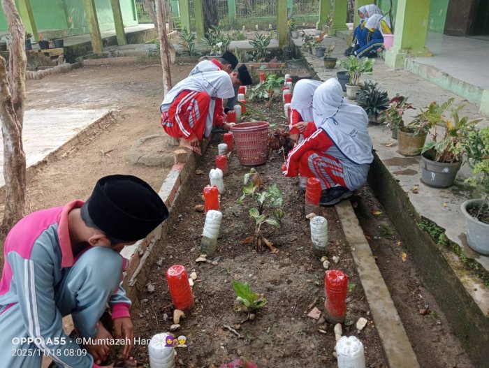 Seluruh Warga MTsN 5 Batang Hari Kompak Bersihkan Lingkungan dalam Rangka Persiapan Lomba Madrasah Asri