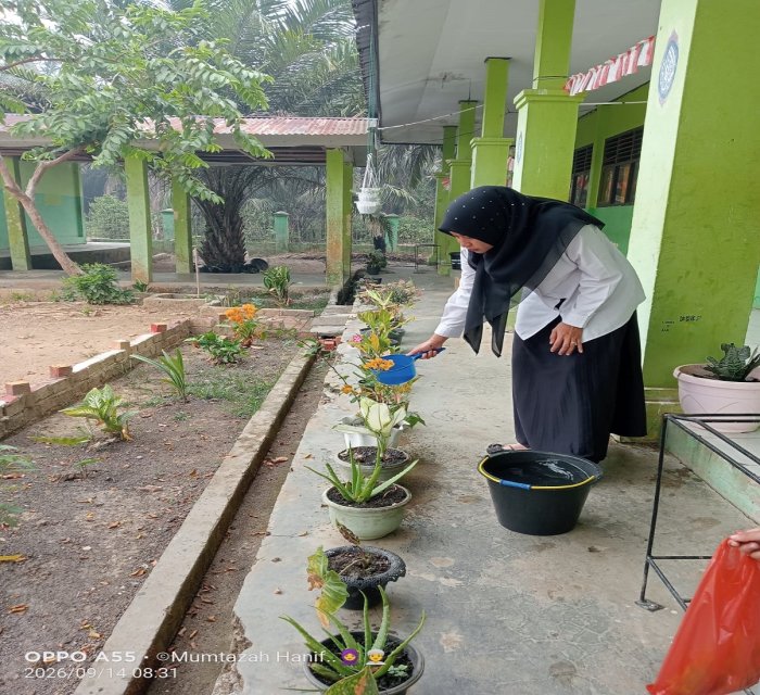 Di Tengah PJJ, Wali Kelas MTsN 5 Batang Hari Tetap Peduli Kebersihan Kelas dan Tanaman