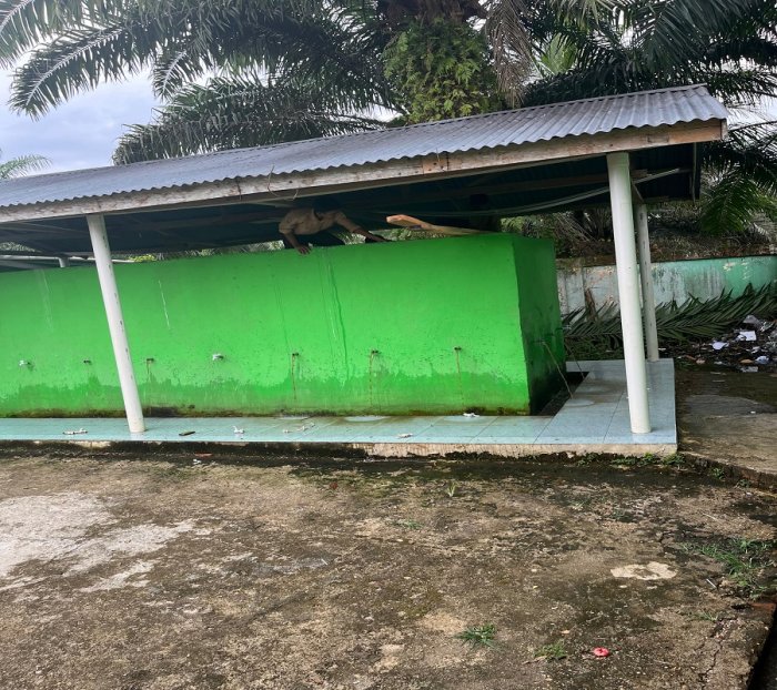 Siswa MTsN 5 Batang Hari Laksanakan Kegiatan Gotong Royong Membersihkan Bak Wudhu Madrasah Siswa MTsN 5 Batang Hari Laksanakan Kegiatan Gotong Royong Membersihkan Bak Wudhu Madrasah