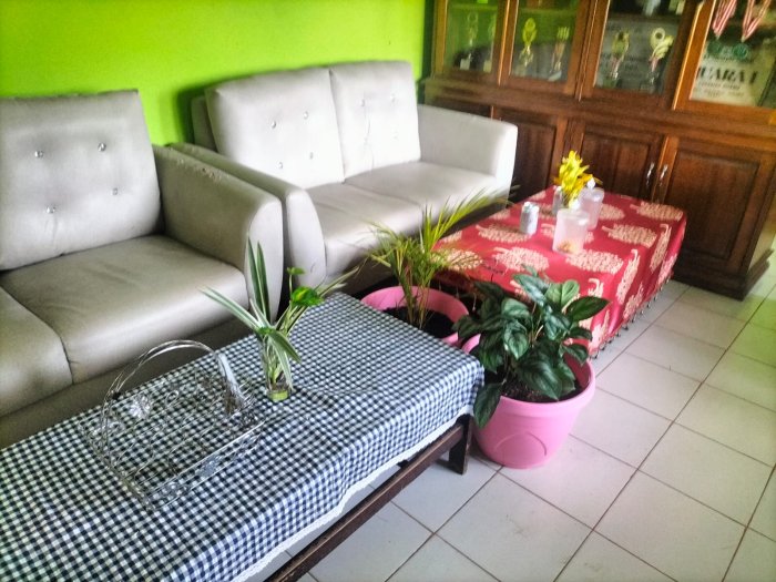 MTsN 5 Batang Hari Galakkan Penggunaan Tanaman Hidup di Setiap Ruang Madrasah MTsN 5 Batang Hari Galakkan Penggunaan Tanaman Hidup di Setiap Ruang Madrasah