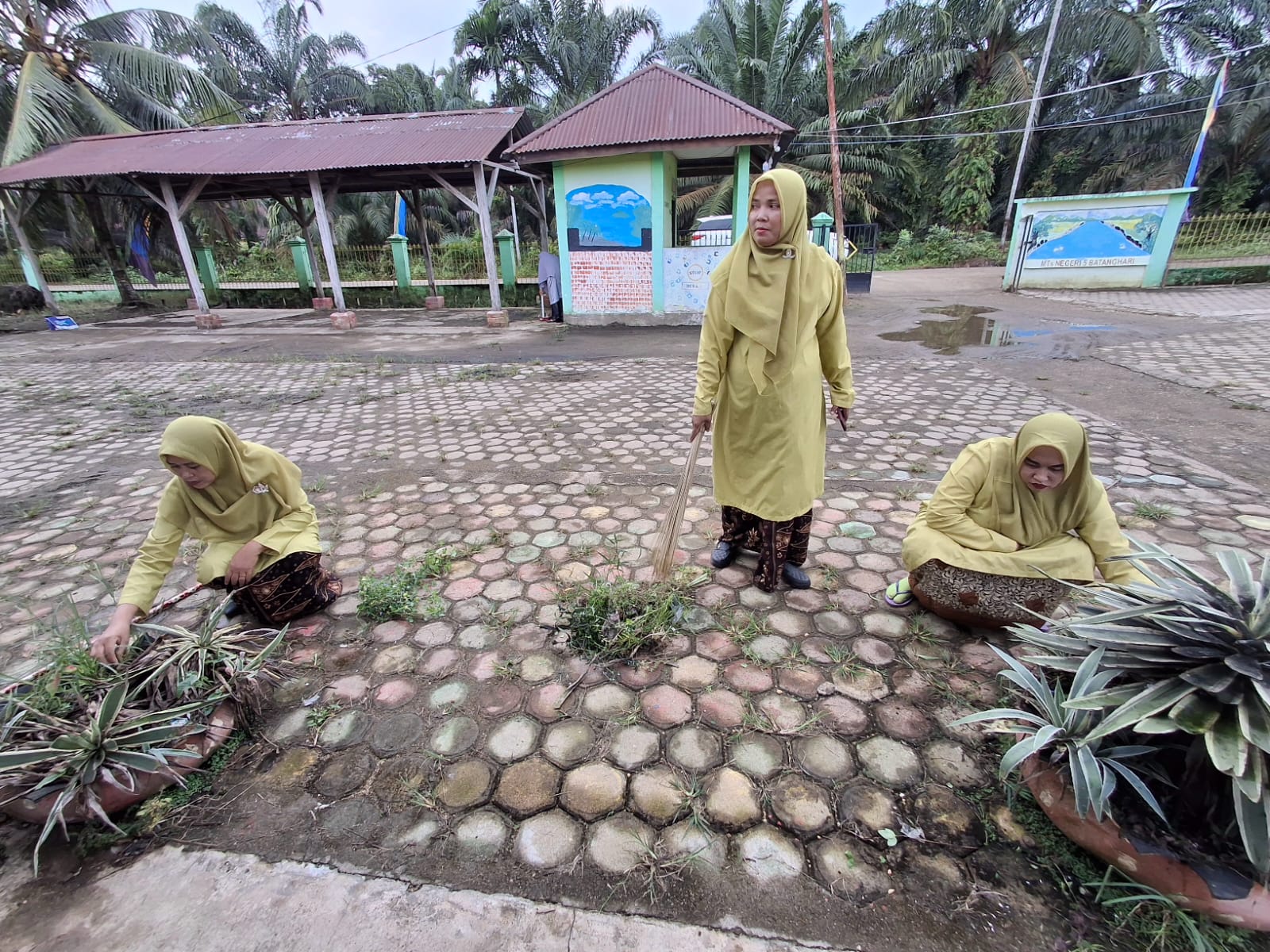 Majelis Guru dan Staf TU MTsN 5 Batang Hari Gelar Kerja Bakti Bersihkan Lingkungan Madrasah Majelis Guru dan Staf TU MTsN 5 Batang Hari Gelar Kerja Bakti Bersihkan Lingkungan Madrasah