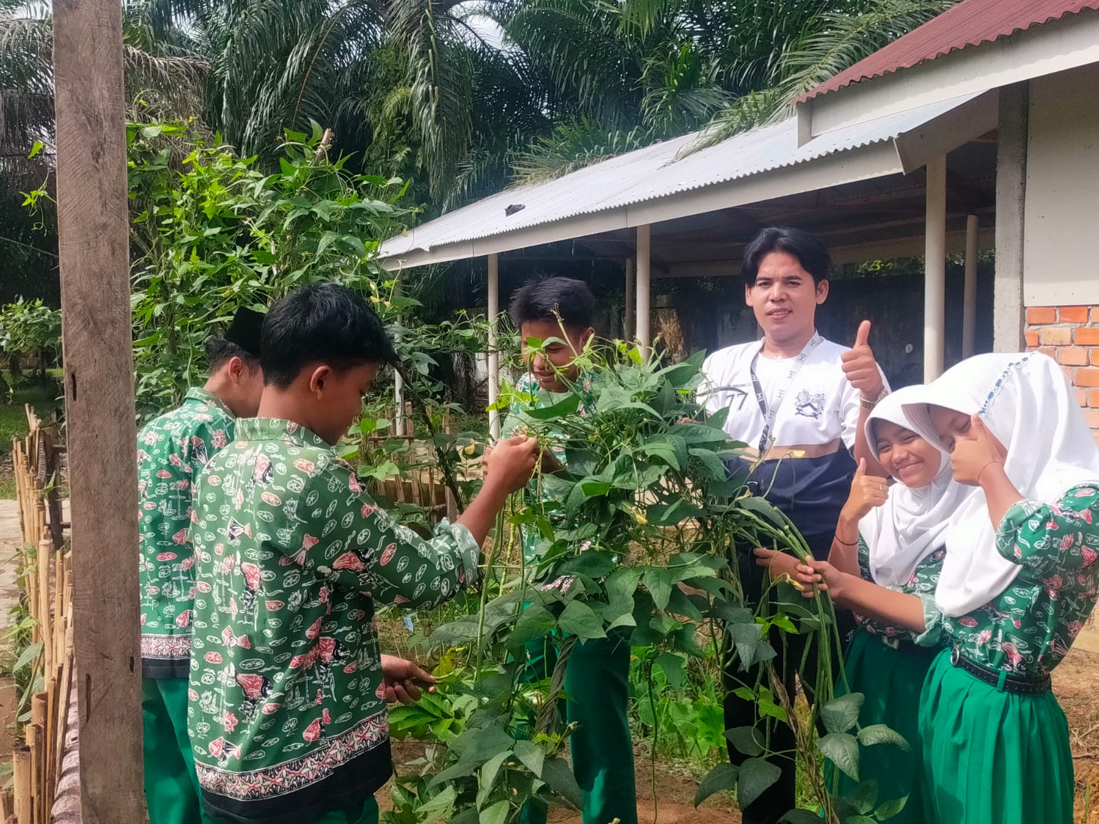 PANEN KACANG PANJANG, HASIL PEMBELAJARAN P5RA TEMA BERKEBUN SAYUR