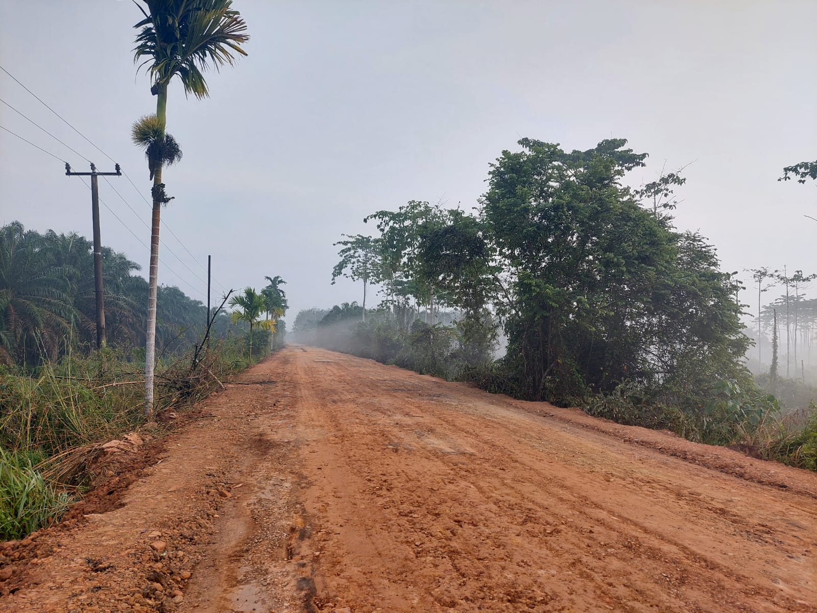 AKSES TRANSFORTASI MENUJU MTSN 5 BATANG HARI PROSES PERBAIKAN