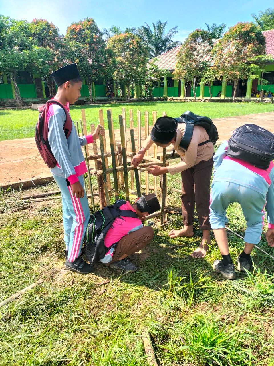 MTsN 5 Batang Hari Memperindah Lingkungan Madrasah dengan Memagari Tanaman Pohon Matoa