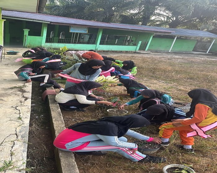 Peserta Didik Baru MTsN 5 Batang Hari Berpartisipasi Menjaga Kebersihan Lingkungan Madrasah Peserta Didik Baru MTsN 5 Batang Hari Berpartisipasi Menjaga Kebersihan Lingkungan Madrasah